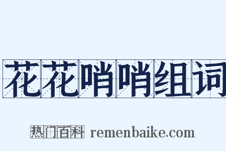 花花哨哨组词是什么意思的图片